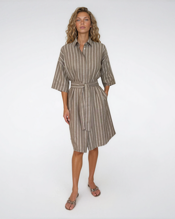 Derby Linen Stripe Dress